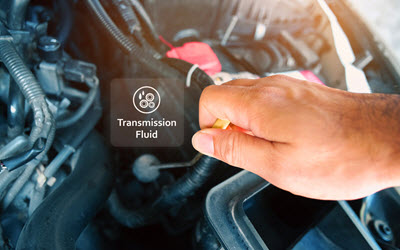 Volvo Transmission Fluid Check